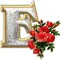 LETTER E WITH ROSES