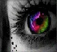 Rainbow eye