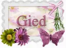 Gied