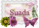 Suada