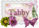 Tabby
