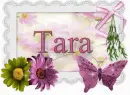 Tara