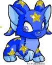 Starry Acara