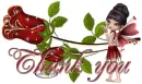 Red rose Thank you