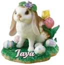 Jaya