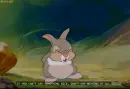 bambi's rabbit<3