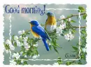 Good morning