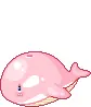 pink whale