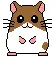 colored hamsters