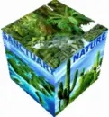 Nature Sanctuary 3D-Cube