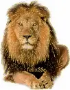 Lion the King