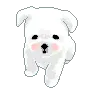 KAWAII CRITTER
