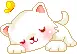 sleeping kitty