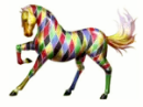 harlequin 