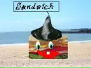 sandwich