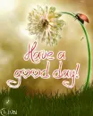 Have a good day!