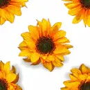 yellow flower background