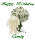 Happy Birthday - Cindy
