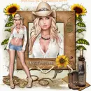 desert sunflower