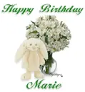Happy Birthday - Marie