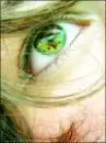 eyes