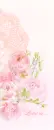 PINK FLOWERS