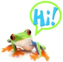 Red Eyed Tree Frog Hi