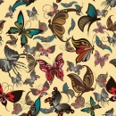 áƒ¦BuTteRFLiEsáƒ¦