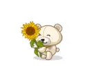barry the sunflower bear
