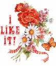 I like it!