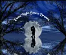 Good Night Blue Moon
