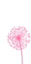 LIL FLOWER
