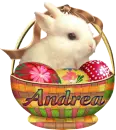 Andrea