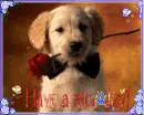 Have a nice day!