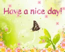 Have a nice day!