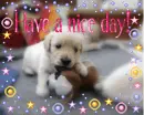 Have a nice day!