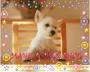 Have a nice day!