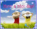 Have a nice day!