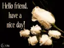 Hello friend!