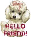 Hello friend