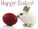 Happy Easter