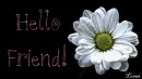 Hello friend