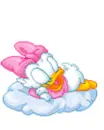 baby daisy duck