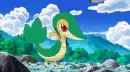 Snivy