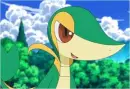 Snivy