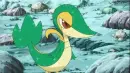 Snivy