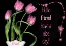 Hello friend,have a nice day!