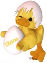 Easter Chick - Diane