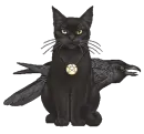 Black Cat and Crow