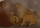 LionKing, REQUESTED BY: zenzatsionen